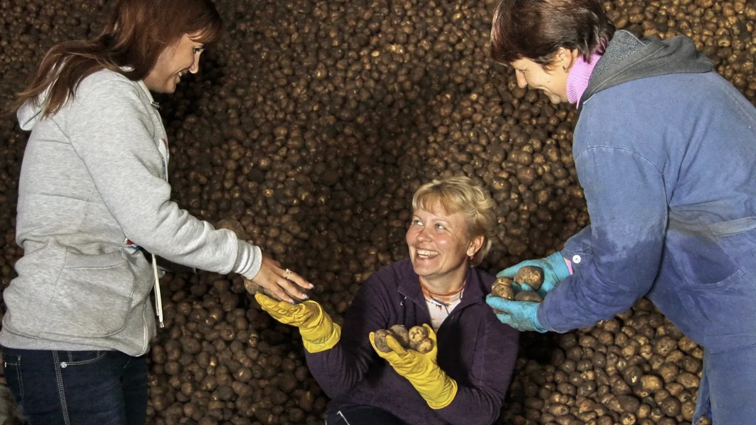 Фото: медиасток.рф