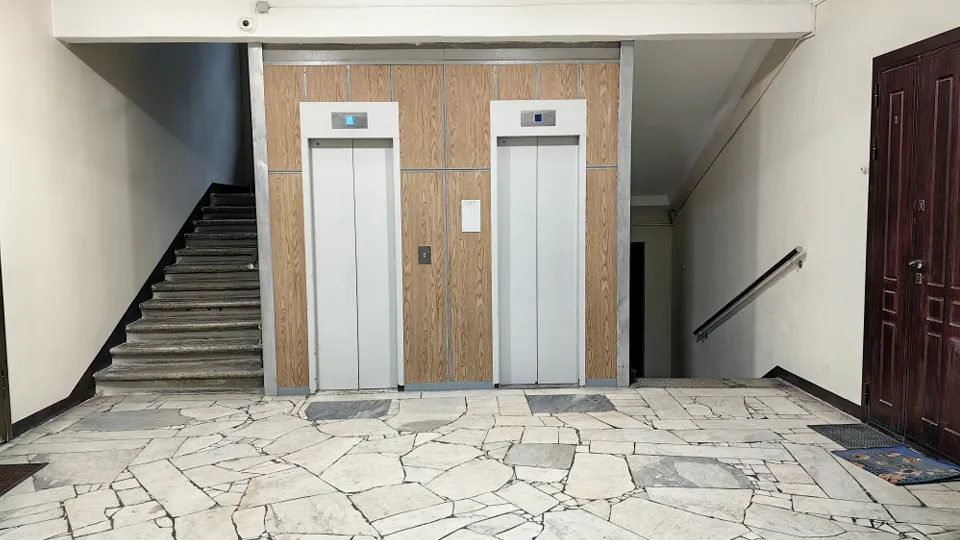 Фото: МедиаБанк Подмосковья/Елена Катасонова