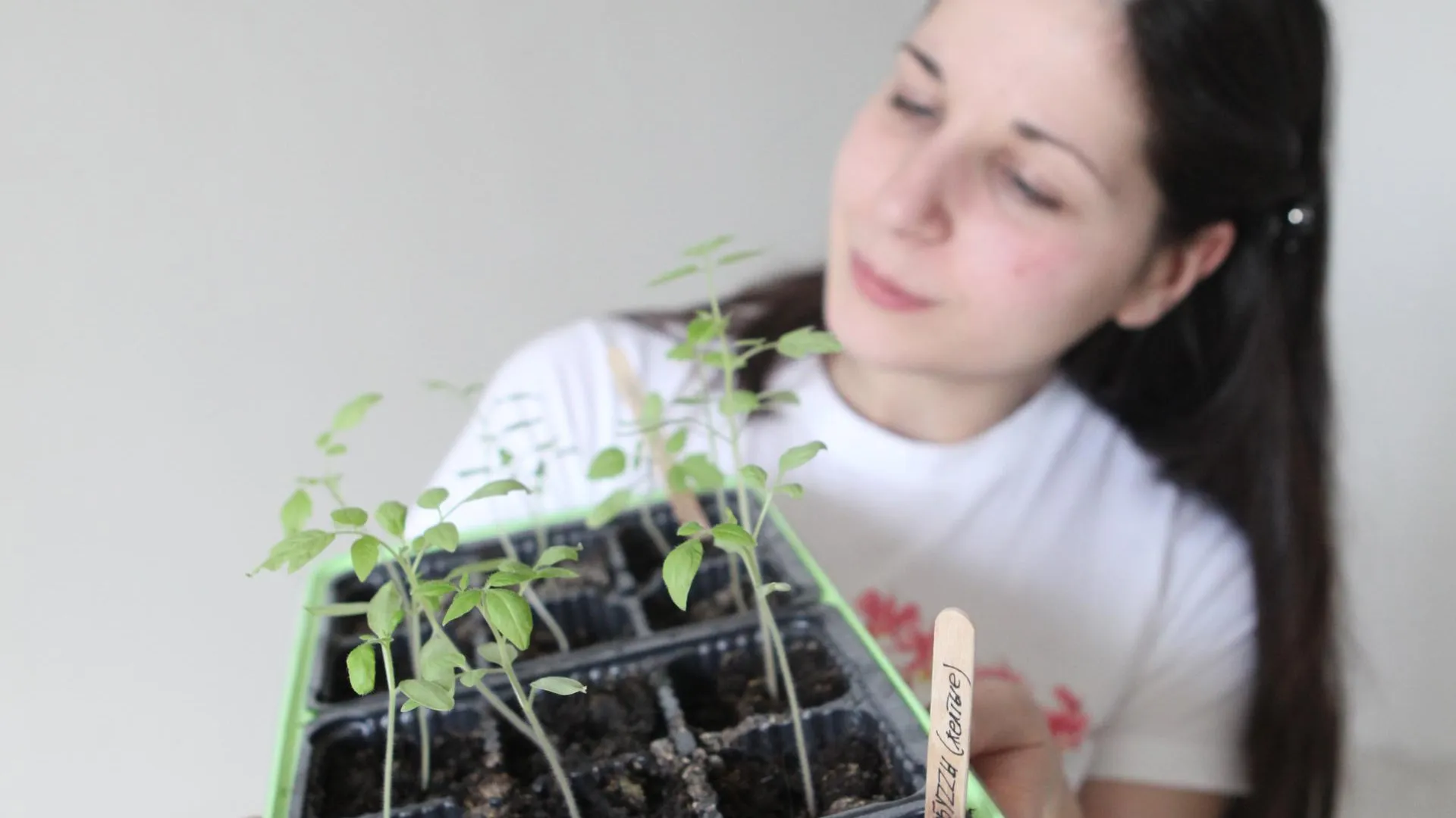 медиасток.рф