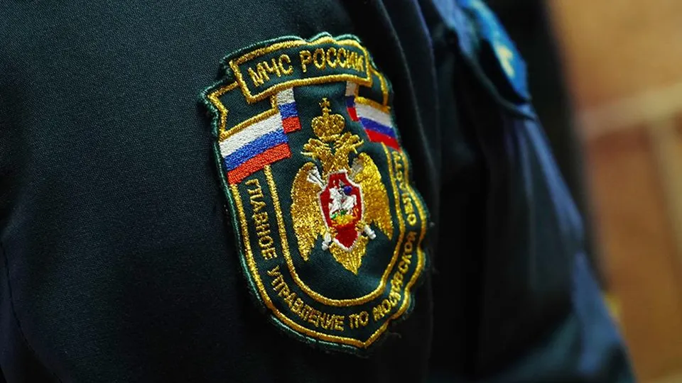 Фото: REGIONS/Анна Быкова