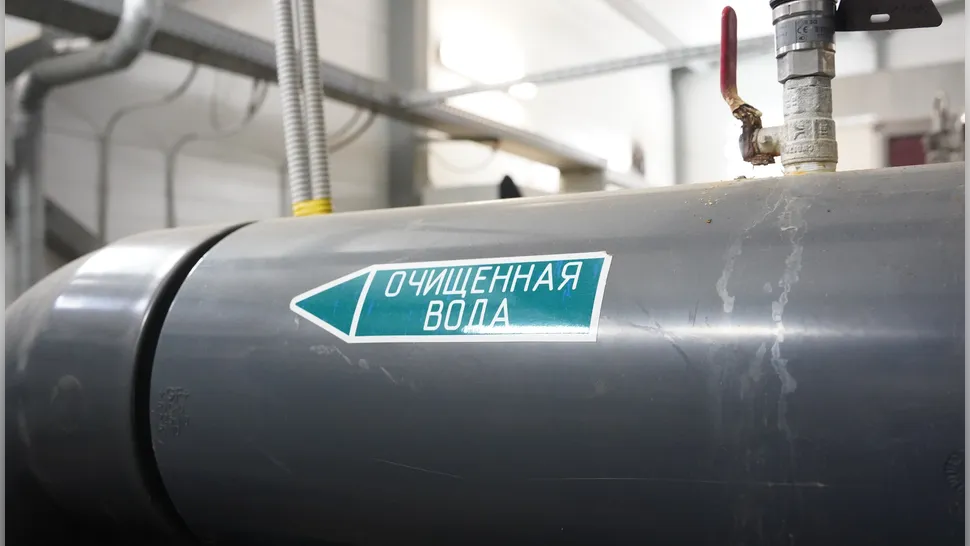 Фото: МедиаБанк Подмосковья/Анастасия Хренкова