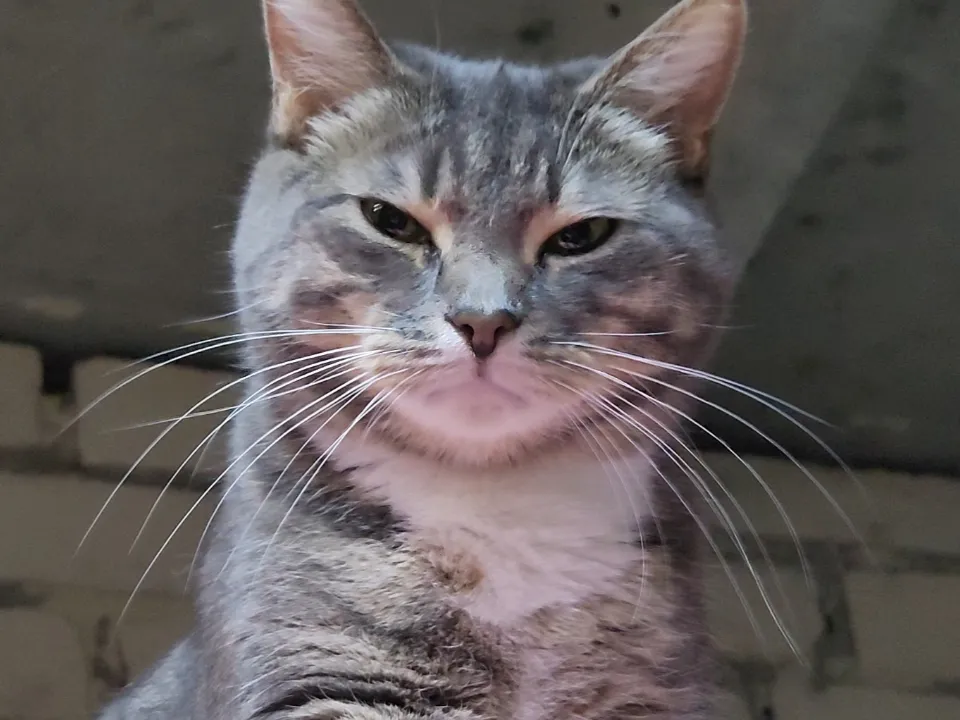 Фото: МедиаБанк Подмосковья/Арина Кузнецова