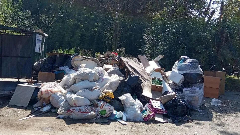 Фото: Пресс-служба администрации городского округа Истра