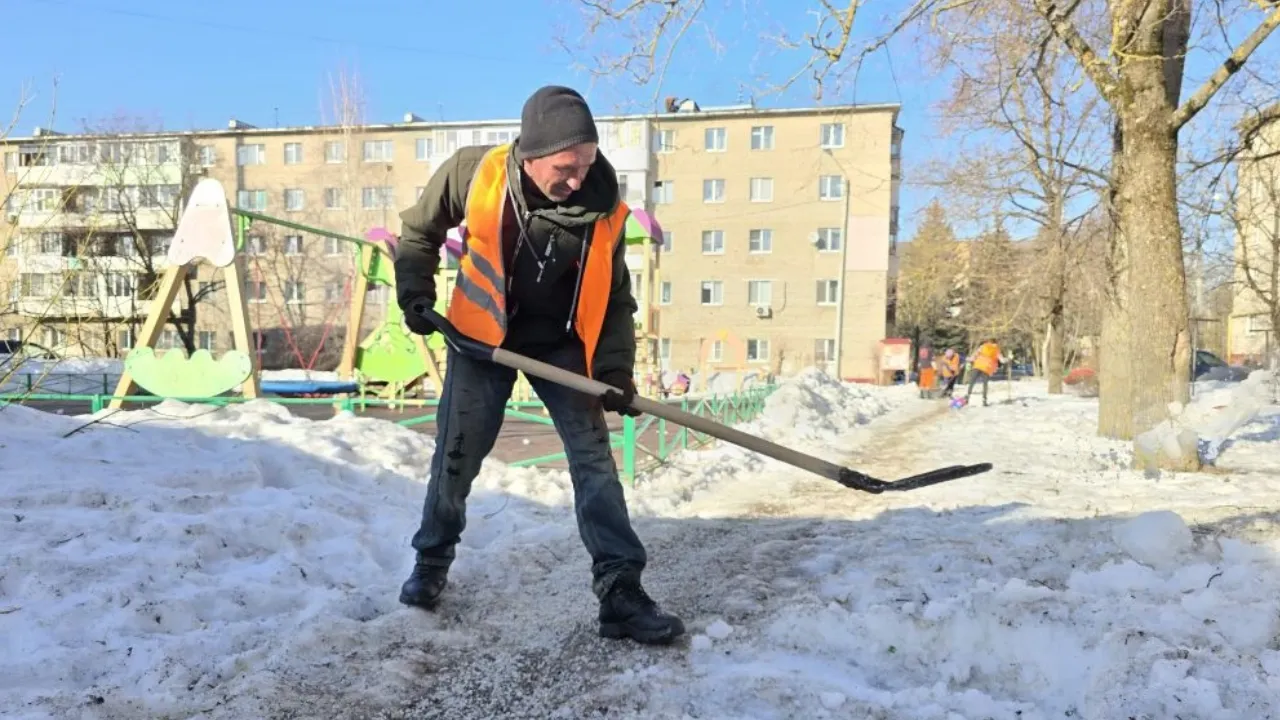 REGIONS/Яна Шаливская