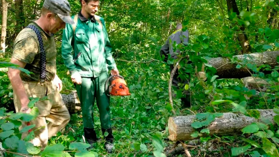 Фото: t.me/lesnichestvoLukhovitsy