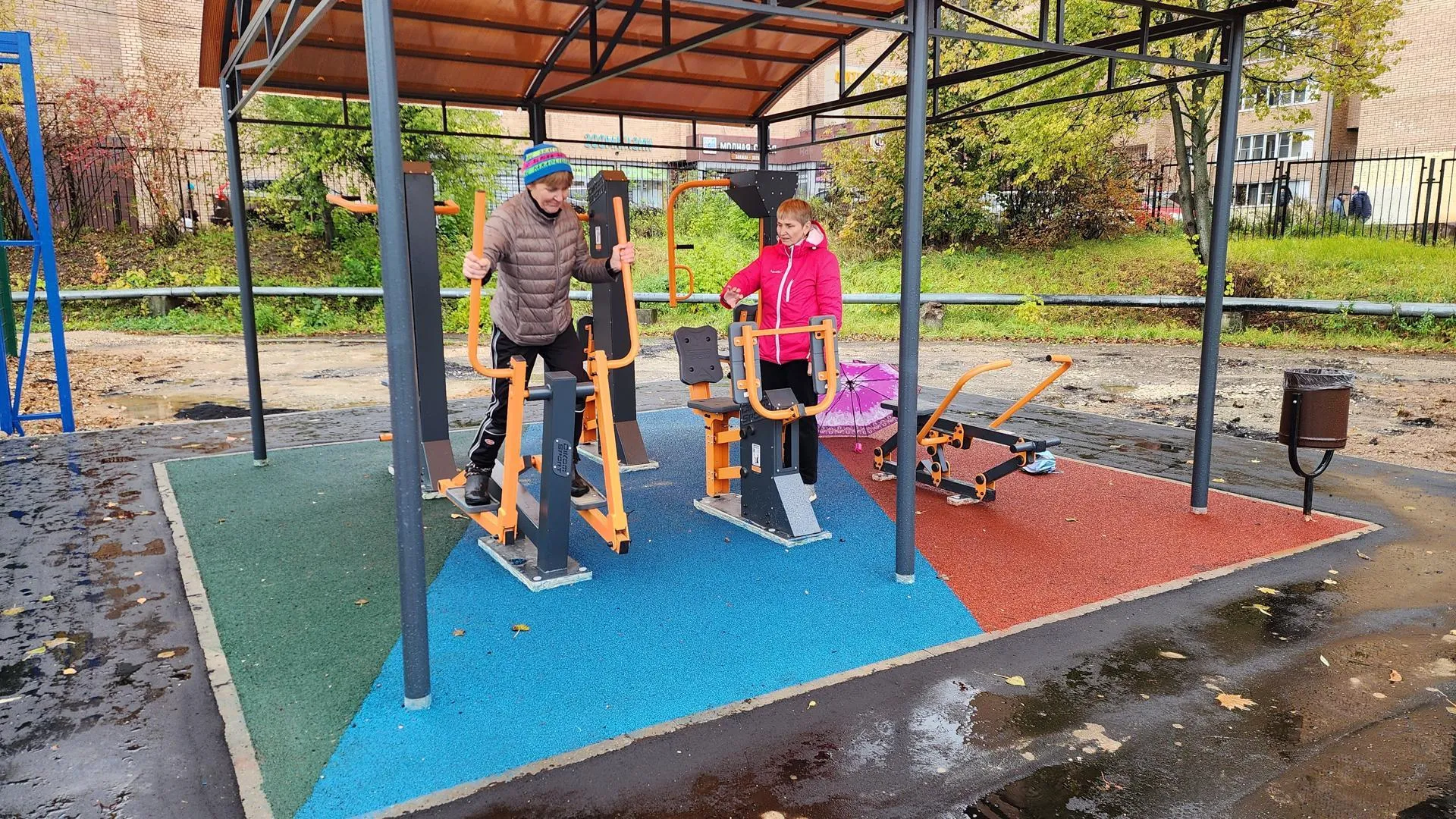 Галина Добрынина