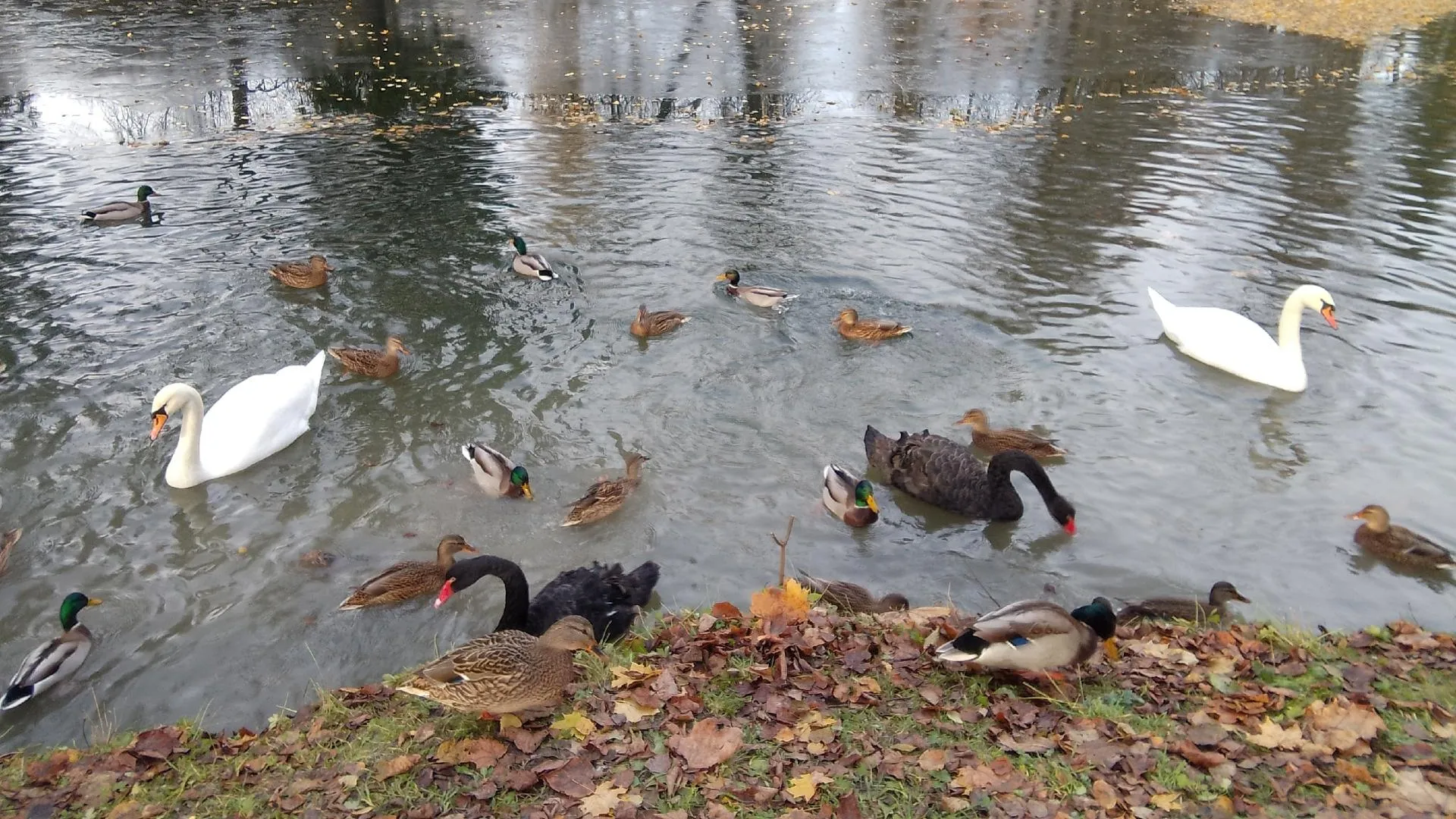 фото: соцсети