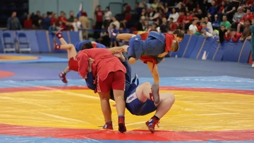 Самбо. Фото: Министерство физкультуры и спорта МО