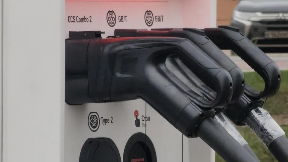 Алена Притула