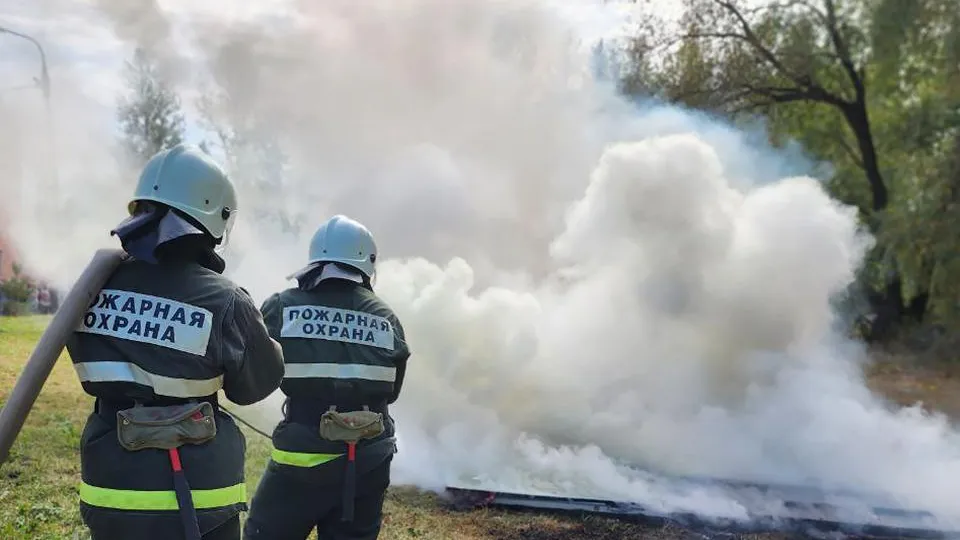 Фото: МедиаБанк Подмосковья/Яна Шаливская
