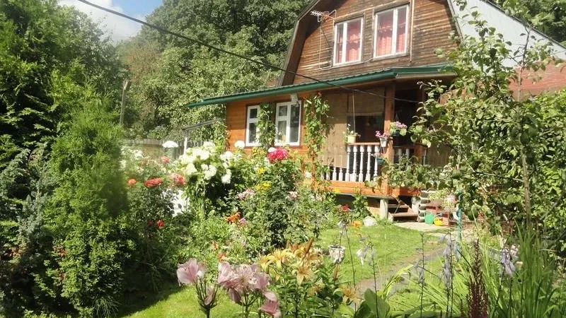 Ценник на дачную жизнь подсчитали в Московском регионе