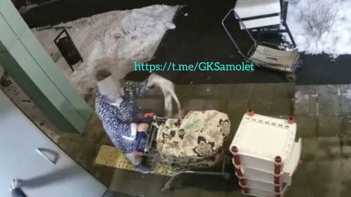 Нечистоплотная консьержка обворовала жильцов в Люберцах