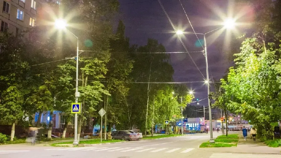 Фото: Министерство благоустройства Московской области