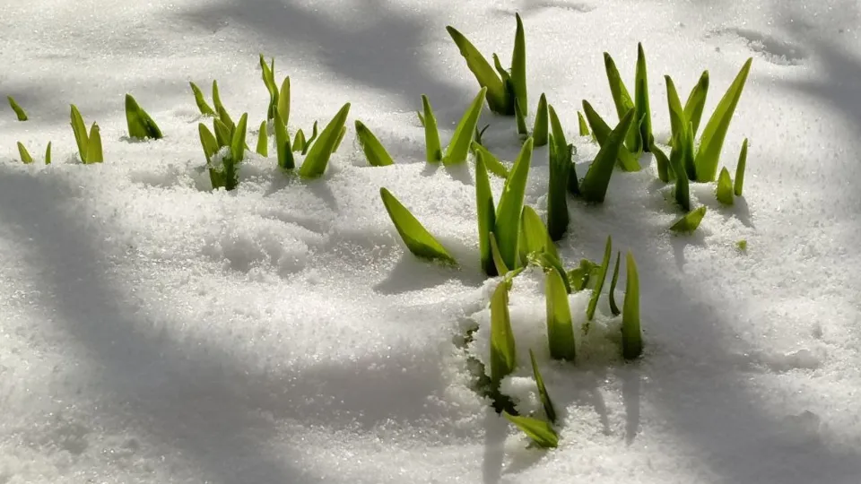 Фото: REGIONS/Василий Тремасов