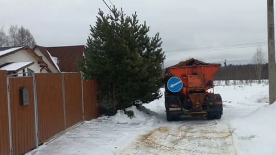 Фото: МЦУР Дмитровского муниципального округа