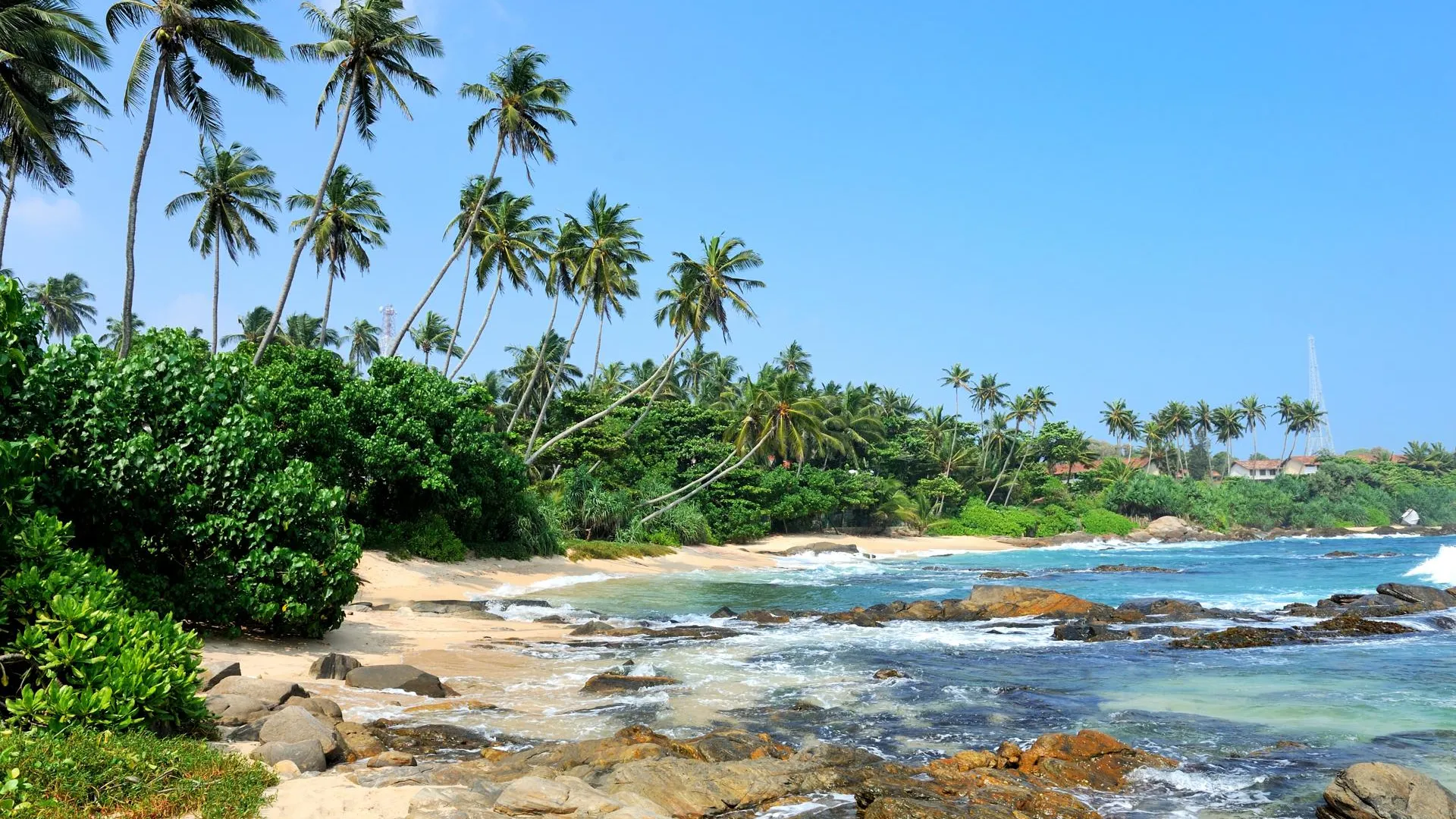 Источник: Freepik