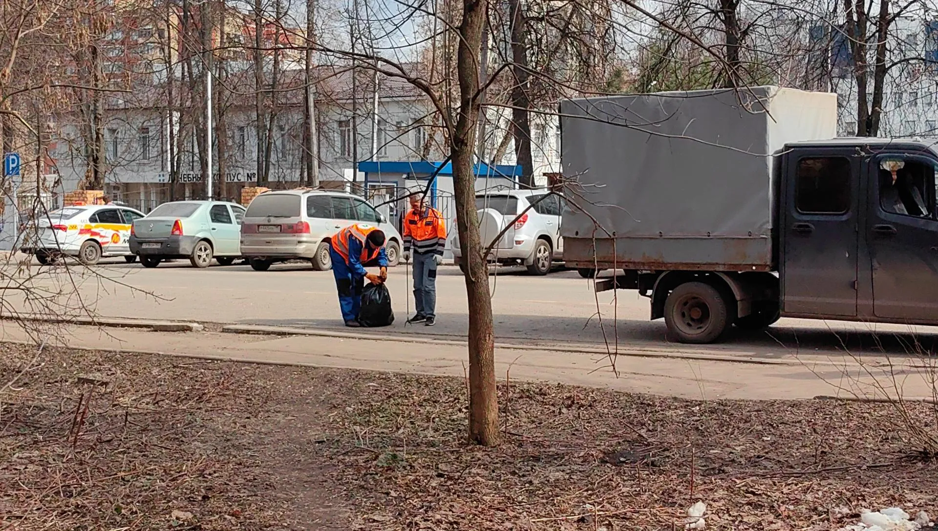 Елена Катасонова