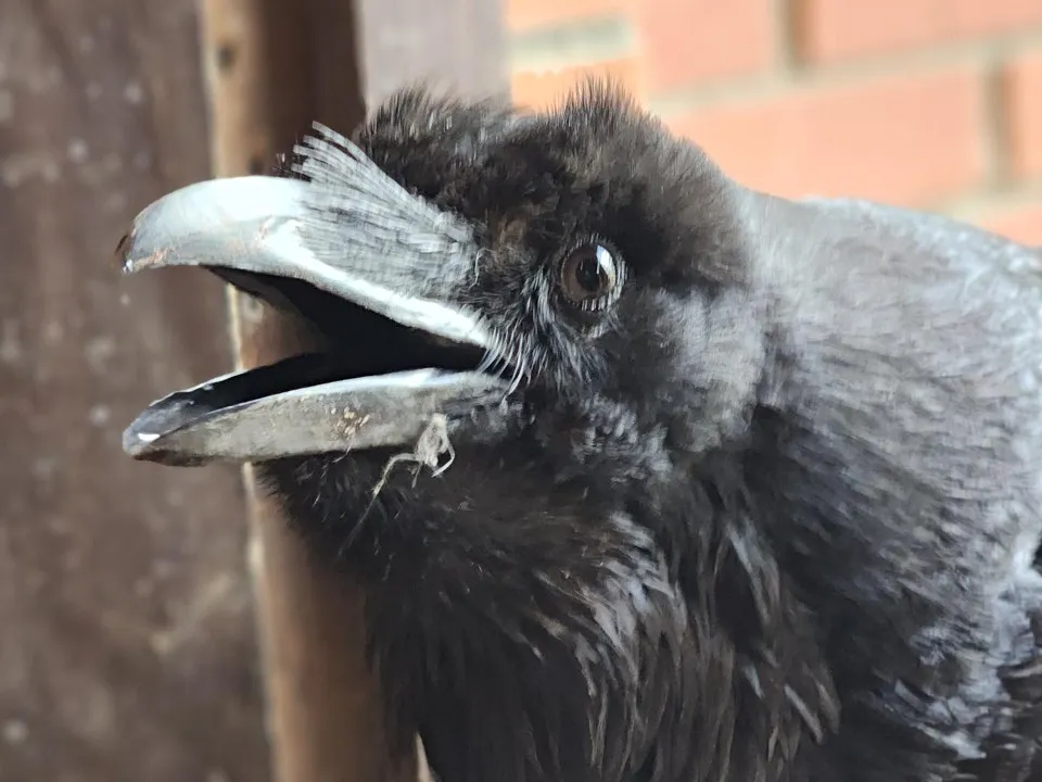 Фото: Дмитрий Беденко