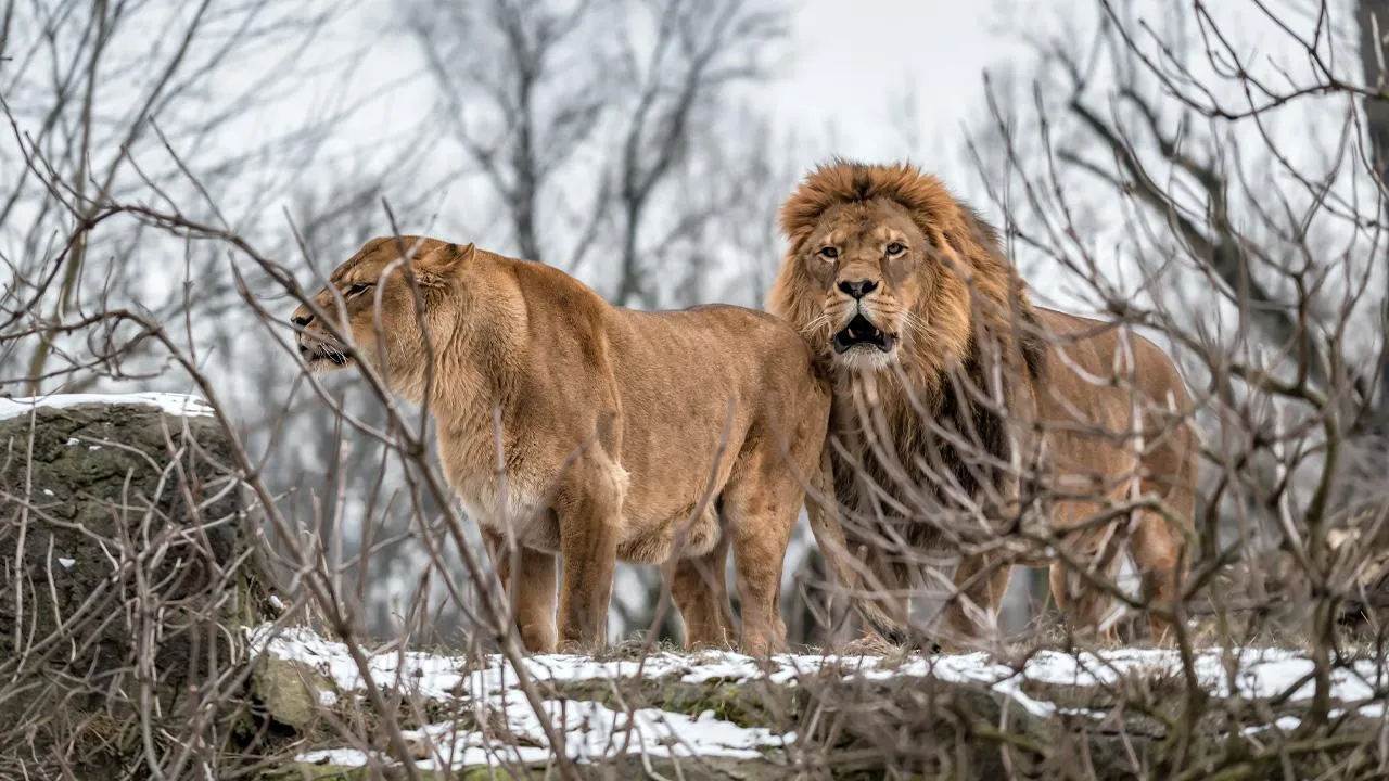 istockphoto.com/vovashevchuk