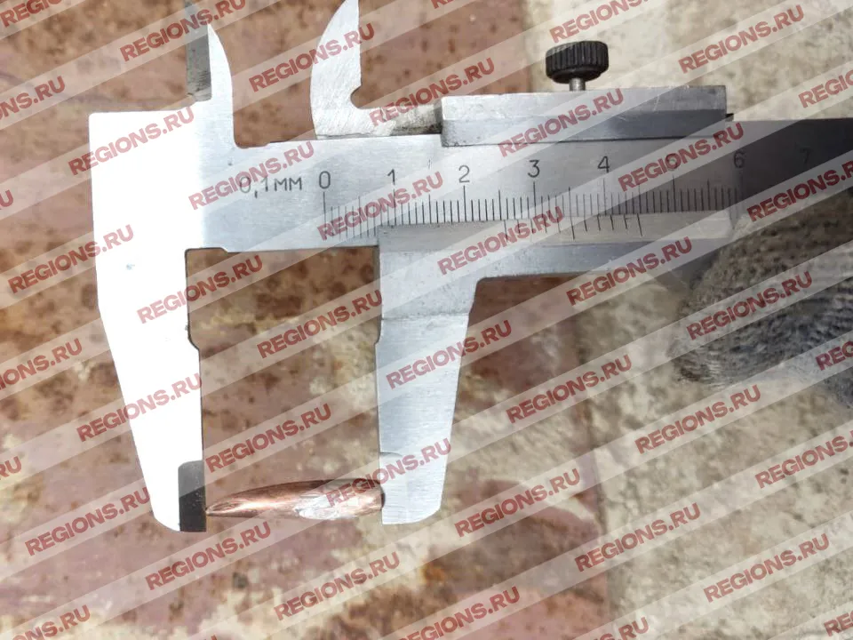 Фото: Виталий Хахин