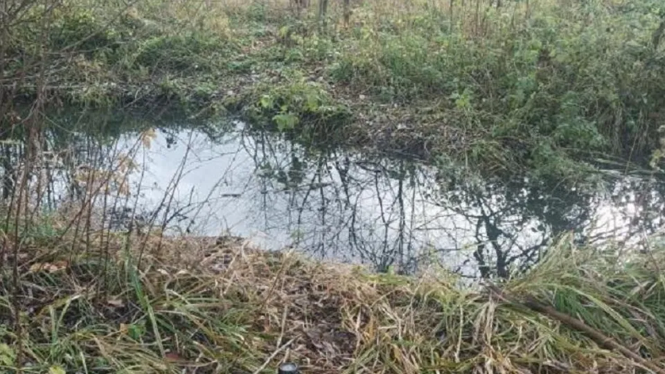 Фото: Минэкологии МО