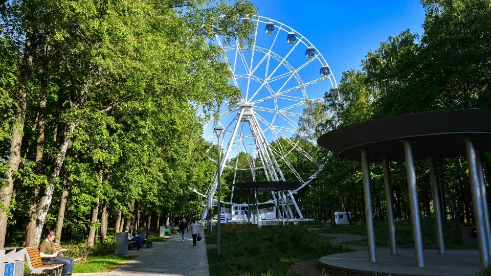 Фото: пресс-служба администрации г.о. Химки