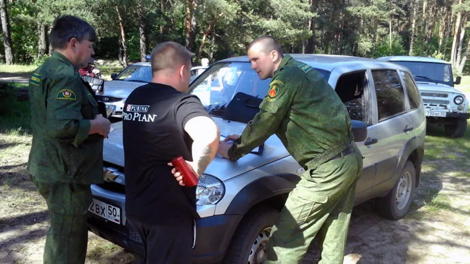 Фото: Комитет лесного хозяйства Московской области