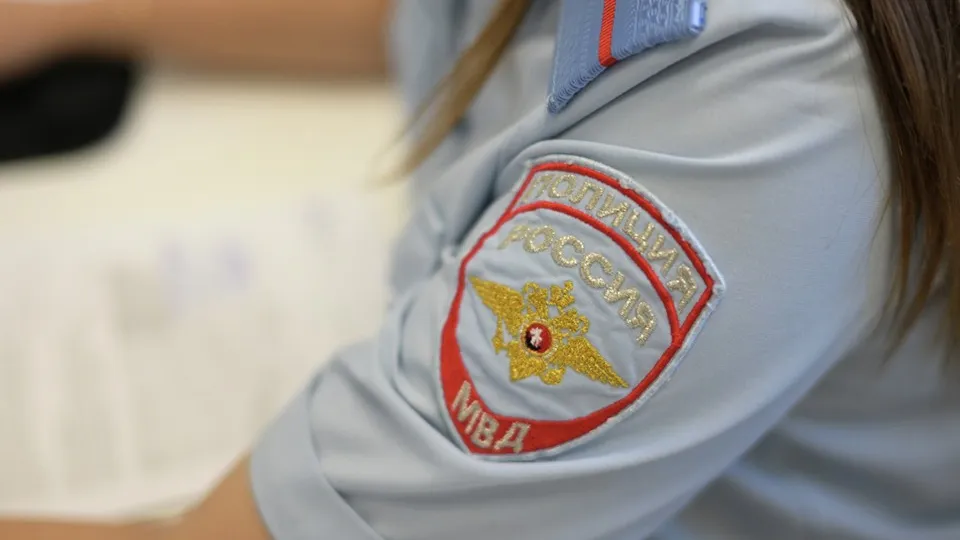 Фото: РИА Новости/Александр Кряжев