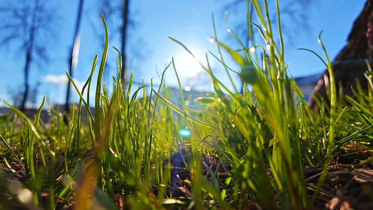 REGIONS/Алексей Селиверстов