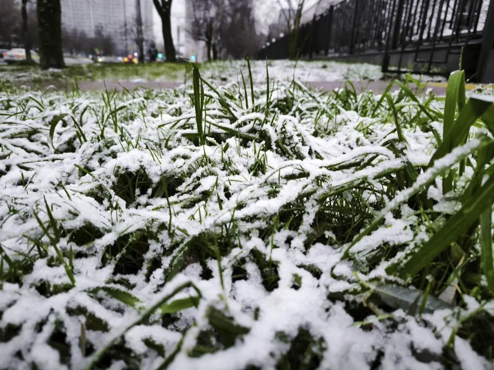 Фото: REGIONS/Роман Малышенко