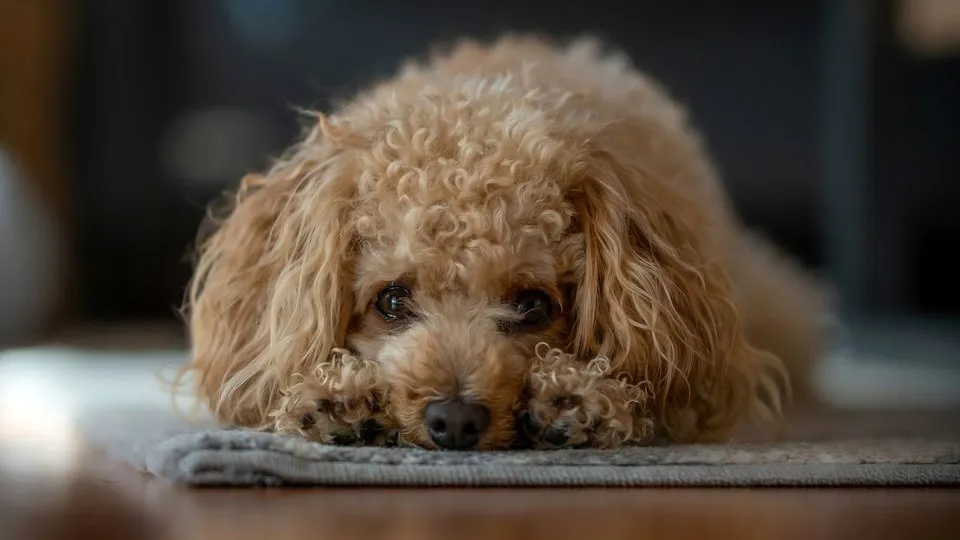 Фото: unsplash.com