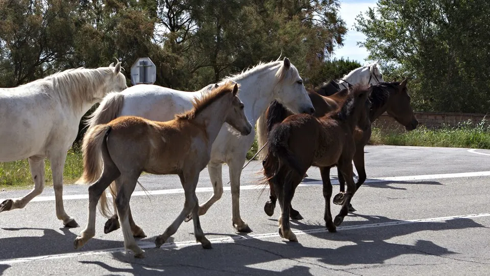 Фото: istockphoto.com