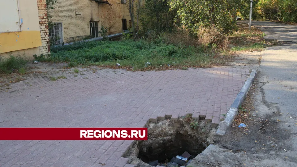 Фото: Алексей Грызлов