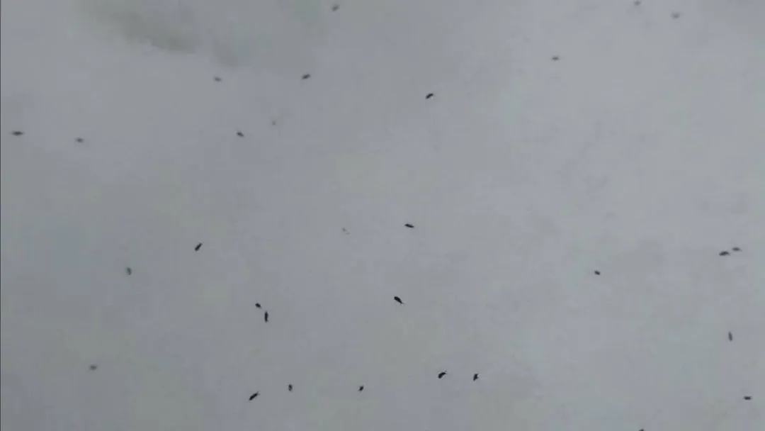 Фото: соцсети