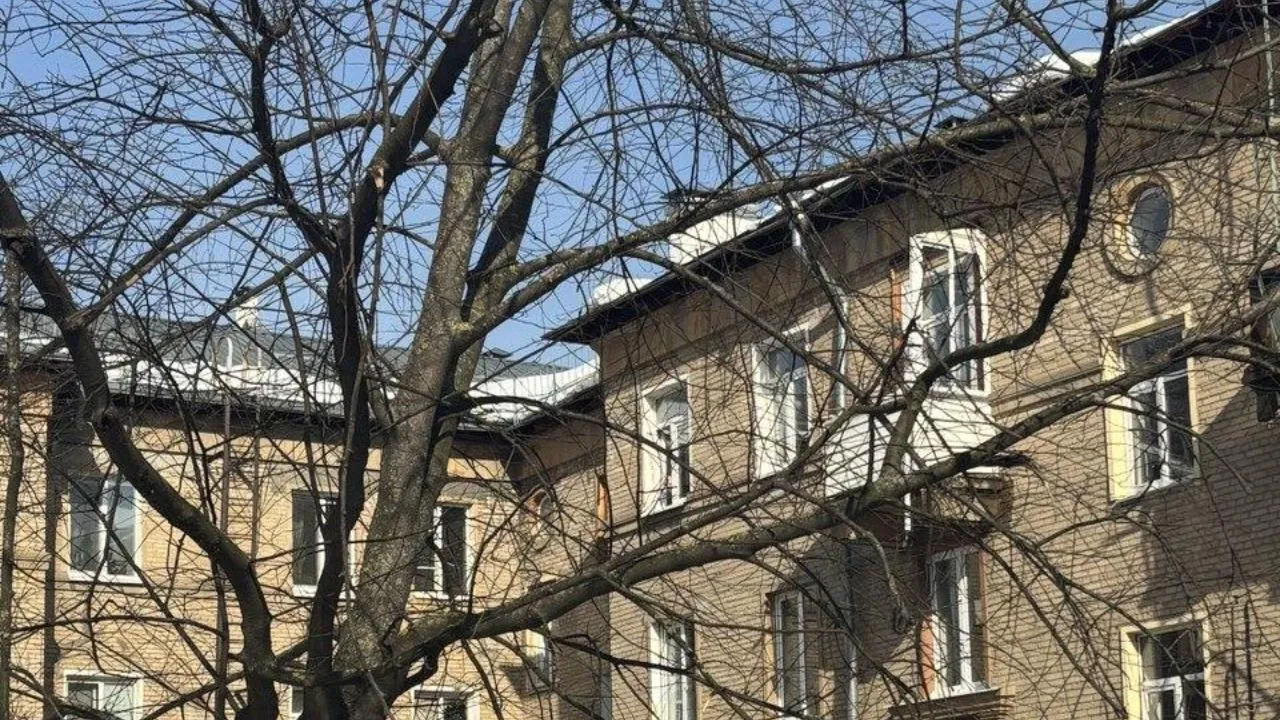 пресс-служба администрации г.о. Балашиха