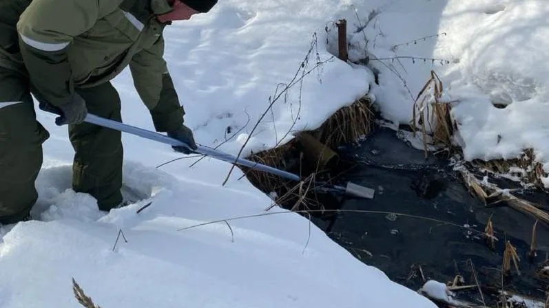 Фото: Минэкологии МО