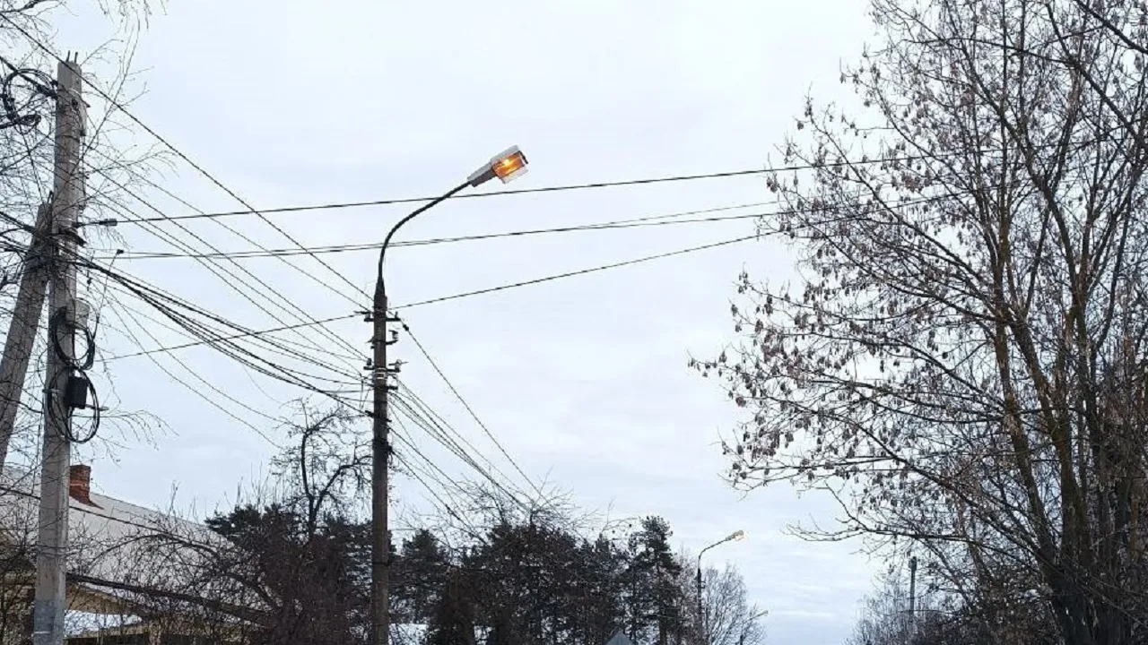 Фото: пресс-служба администрации г.о. Лобня