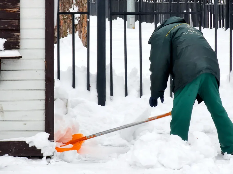 Фото: МедиаБанк Подмосковья/Ольга Аввакумова