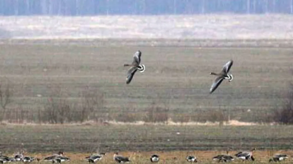Фото: МедиаБанк Подмосковья/Рой Евгений Александрович