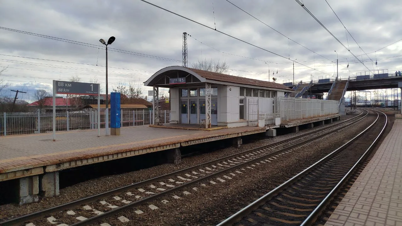 Фото: REGIONS/Наталья Дорофеева