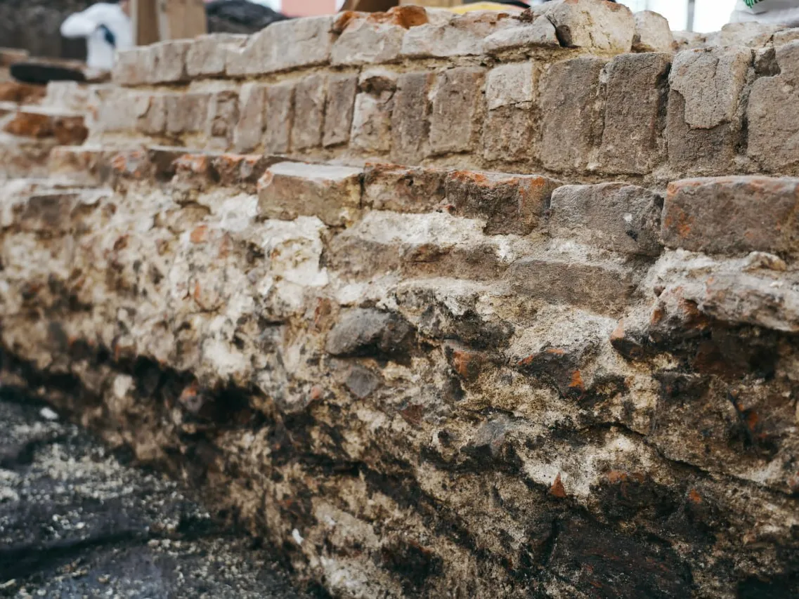 Фото: МедиаБанк Подмосковья/Дмитрий Зайчиков