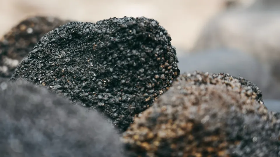 Фото: МедиаБанк Подмосковья/Дмитрий Зайчиков