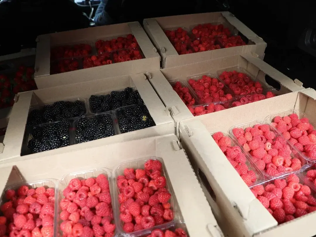 Фото: пресс-служба администрации Наро-Фоминского г.о.&nbsp; &nbsp; &nbsp; &nbsp; &nbsp; &nbsp;