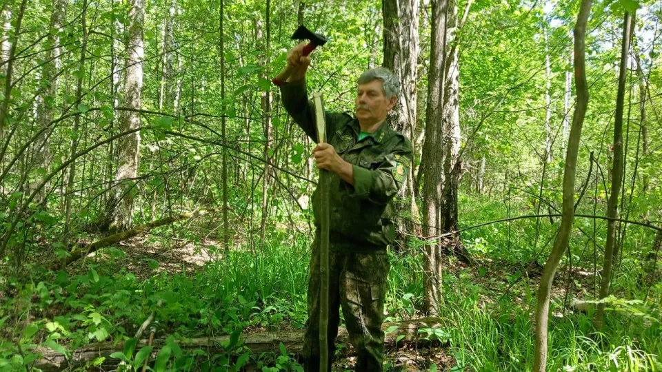 Фото: Комитет лесного хозяйства Московской области