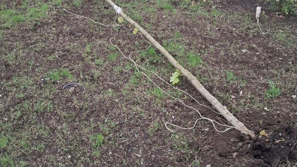 Фото: администрация г.о. Краснознаменск