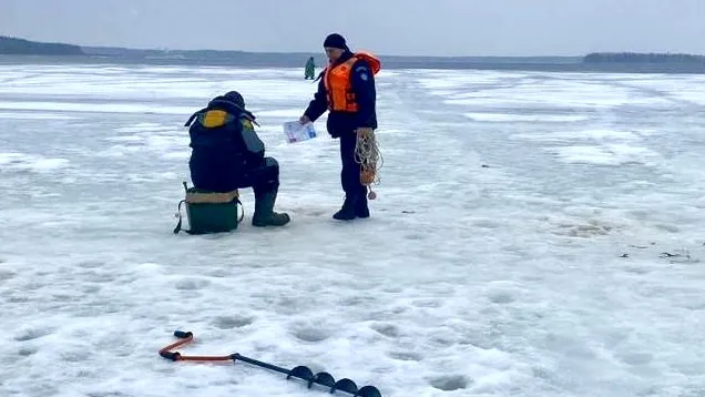 Фото: пресс-служба ГКУ МО «Мособлпожспас»