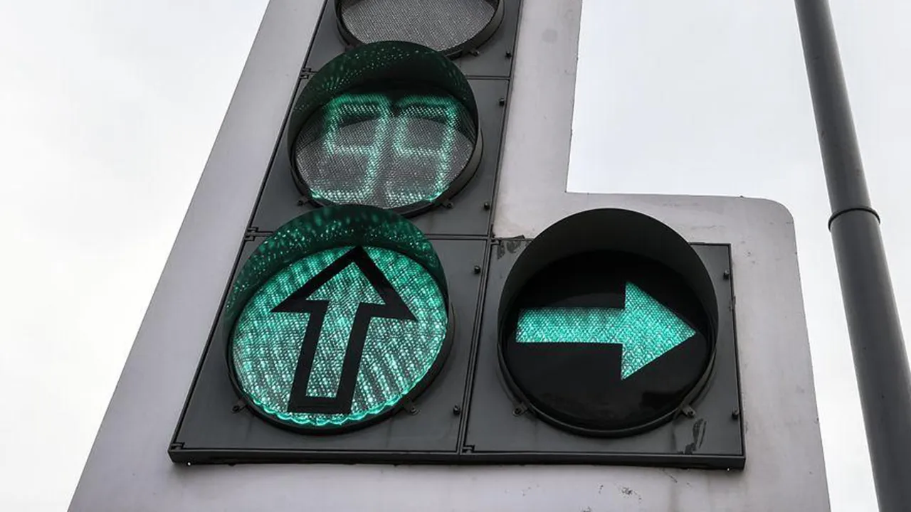 Фото: Медиаархив Подмосковья