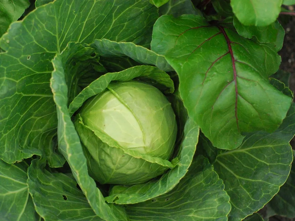 Фото: unsplash.com