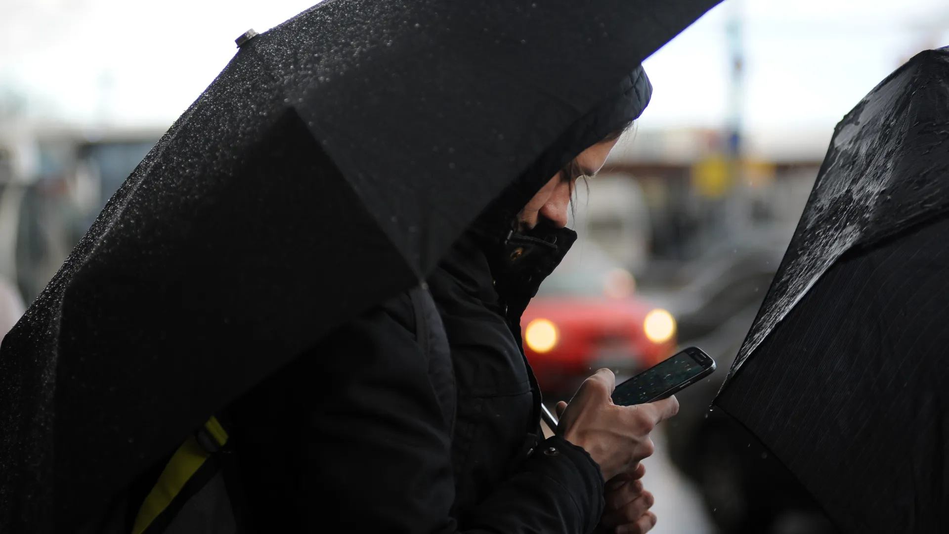 Фото: медиасток.рф