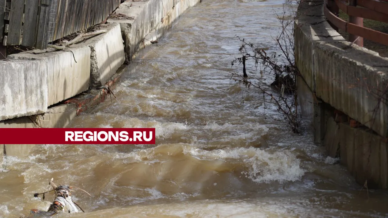 Фото: REGIONS/Дмитрий Зайчиков